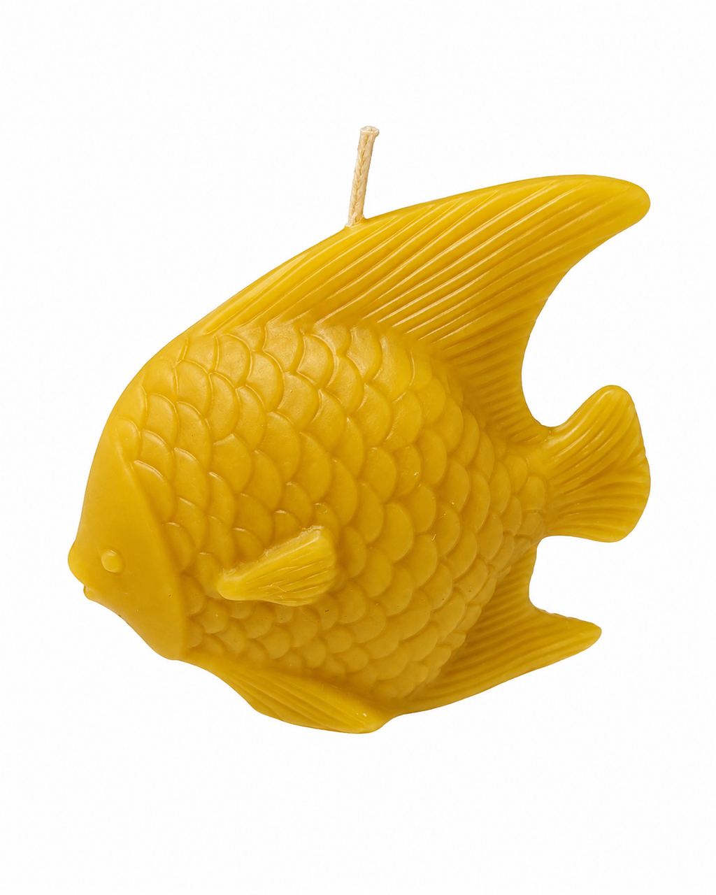 Fish Beeswax Candle