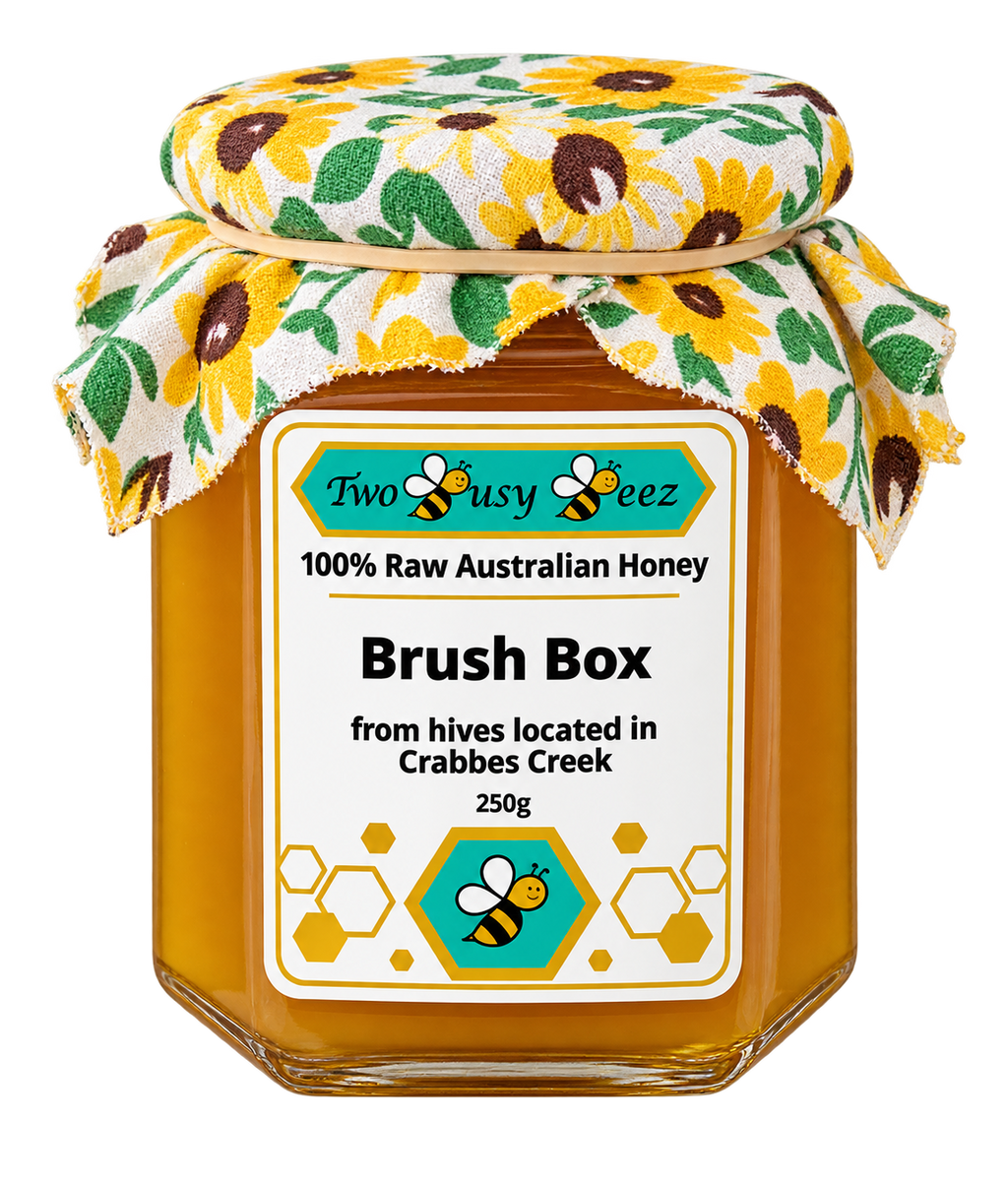 Brush Box Raw Honey Gift Jar (250g)