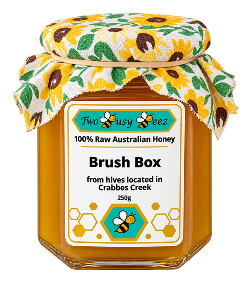 Brush Box Raw Honey Gift Jar (250g)