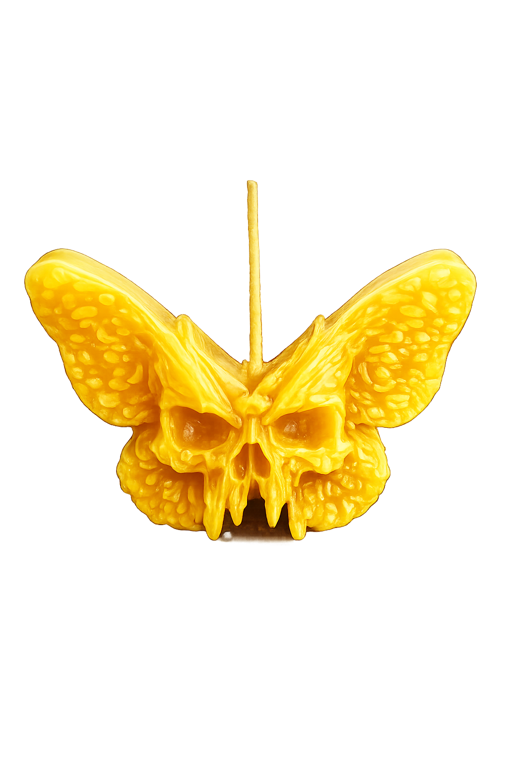 Death's-Head Moth Beeswax Candl