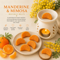 Mandarin &amp; Mimosa Beeswax Melts