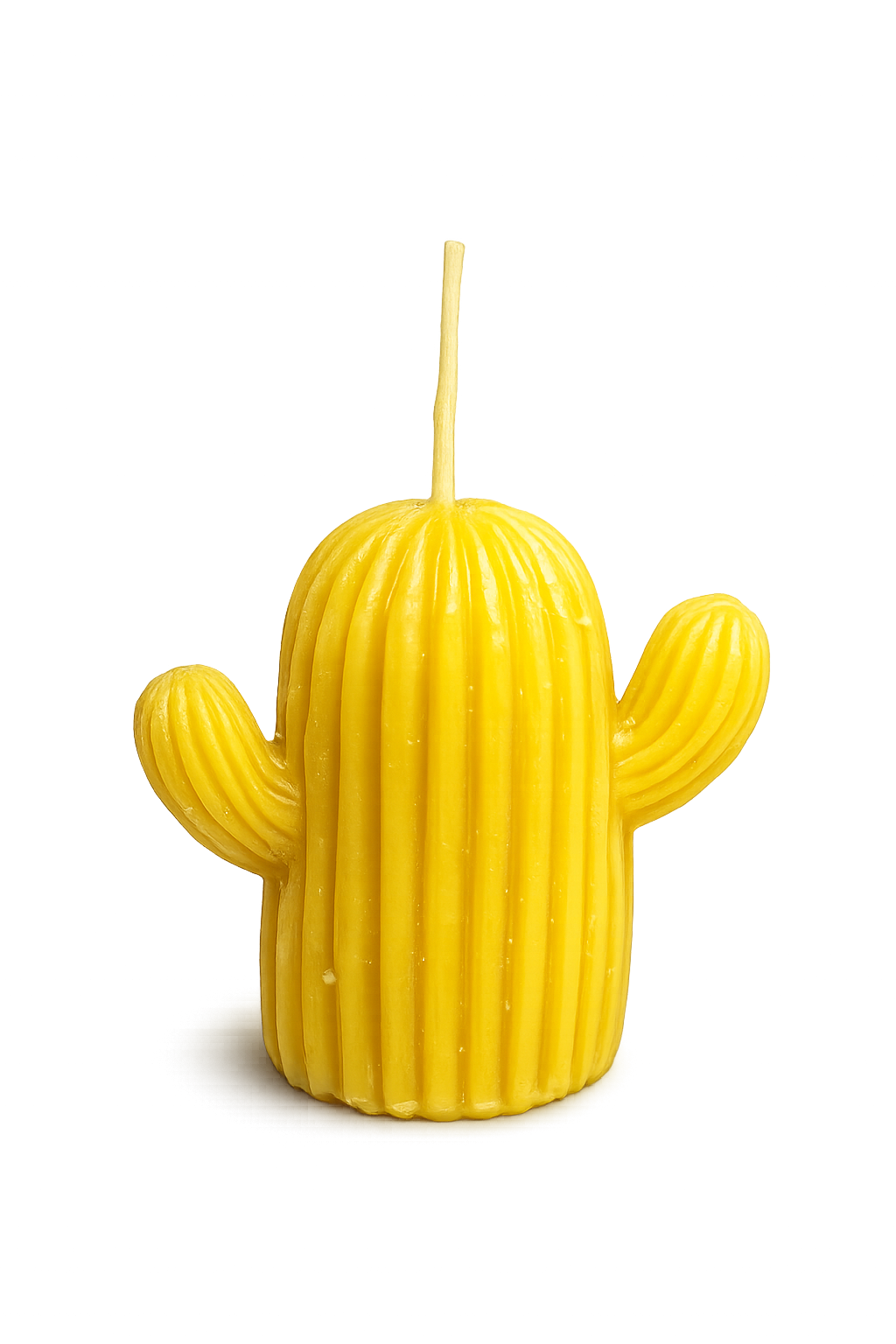 Cactus Beeswax Candle