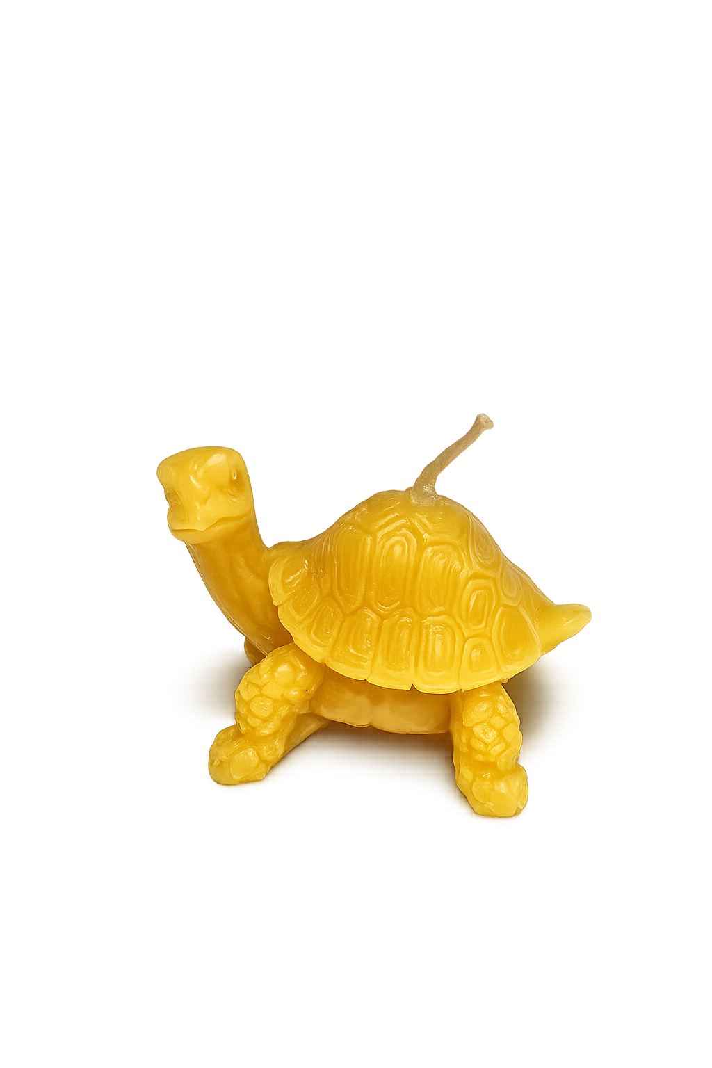 Turtle Small Pure Beeswax Candle