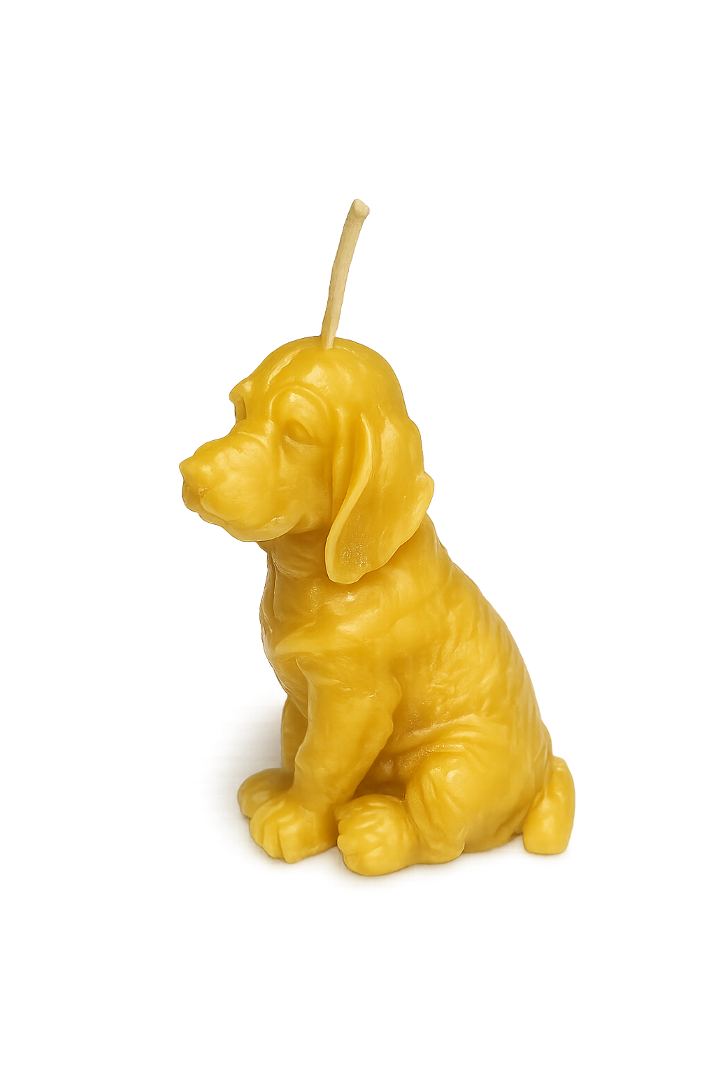 Labrador Puppy Beeswax Candle