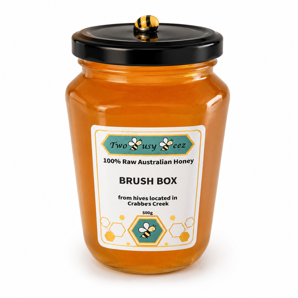Brush Box Raw Honey 500g