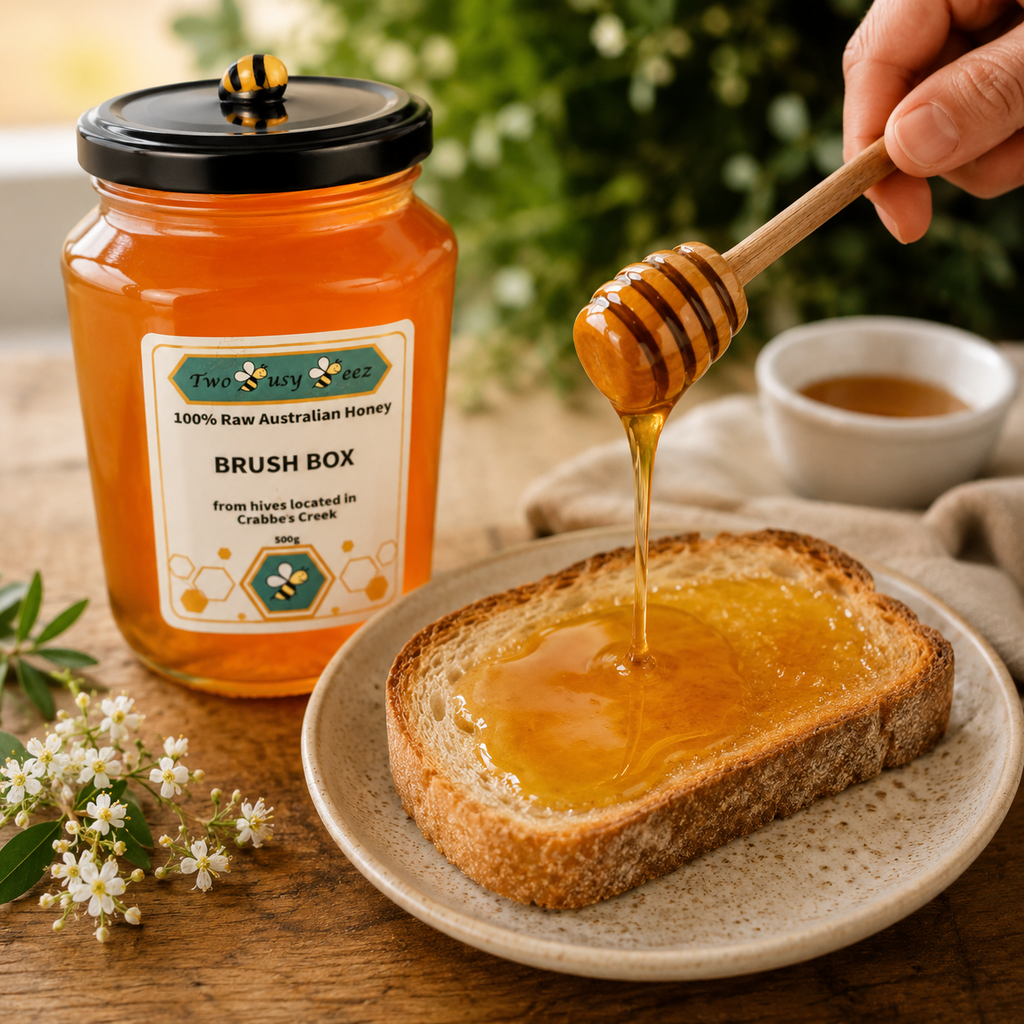 Brush Box Raw Honey 500g
